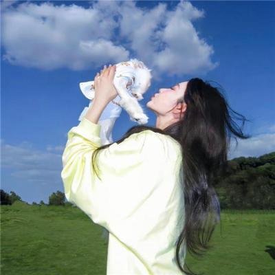 奈何寨主不好当